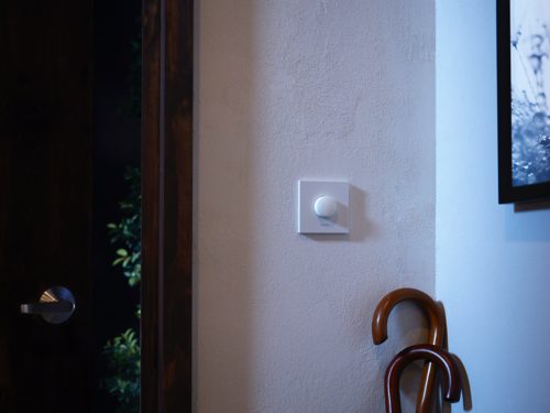 Philips hue clearance smart button